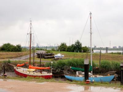 DSC_8261